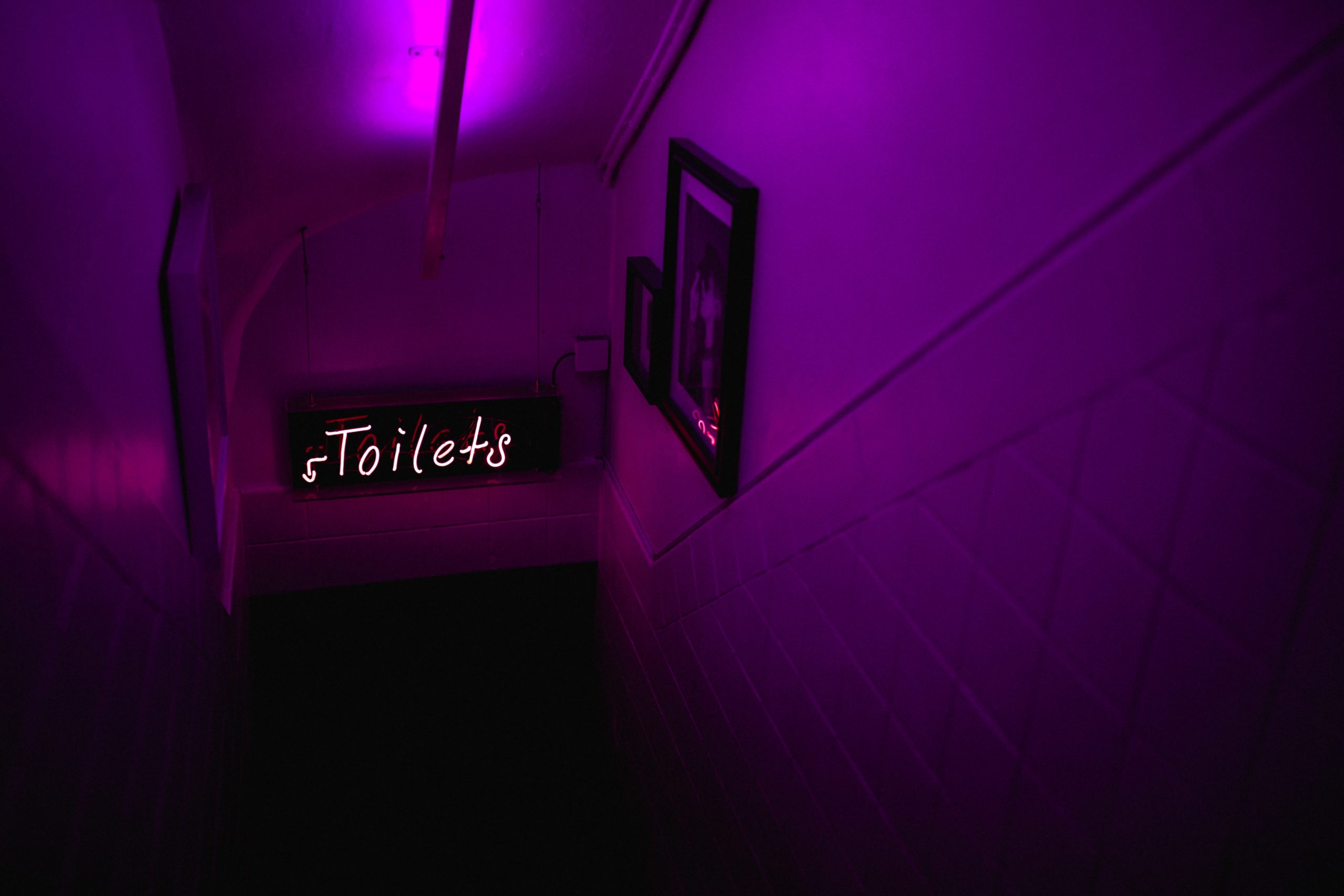 Neon toilet sign